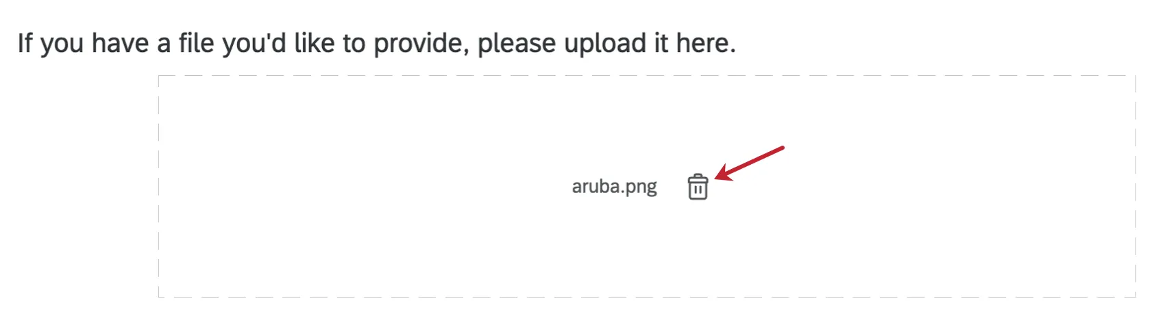 Una imagen de una pregunta para la carga de archivos con el diseño simple aplicado. Hay un icono de papelera siguiente al archivo cargado que permite eliminarlo.