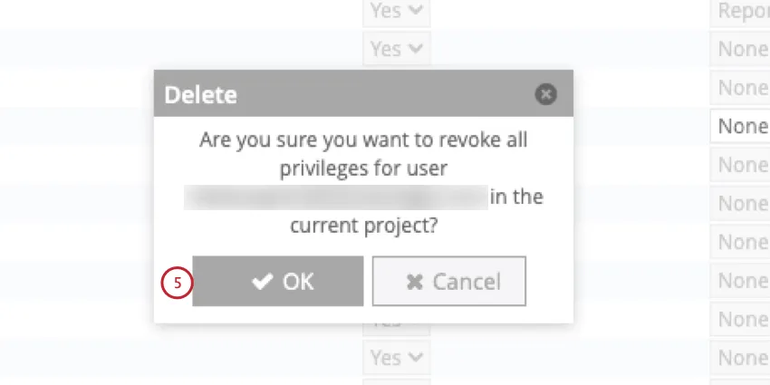 clicking OK in the popup
