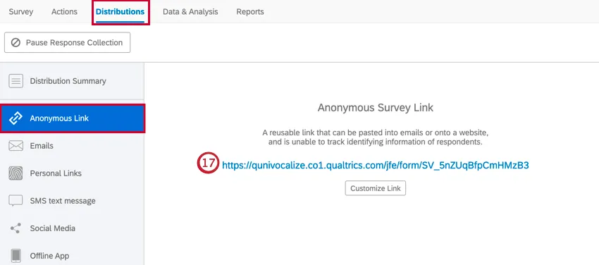 copying the anonymous link