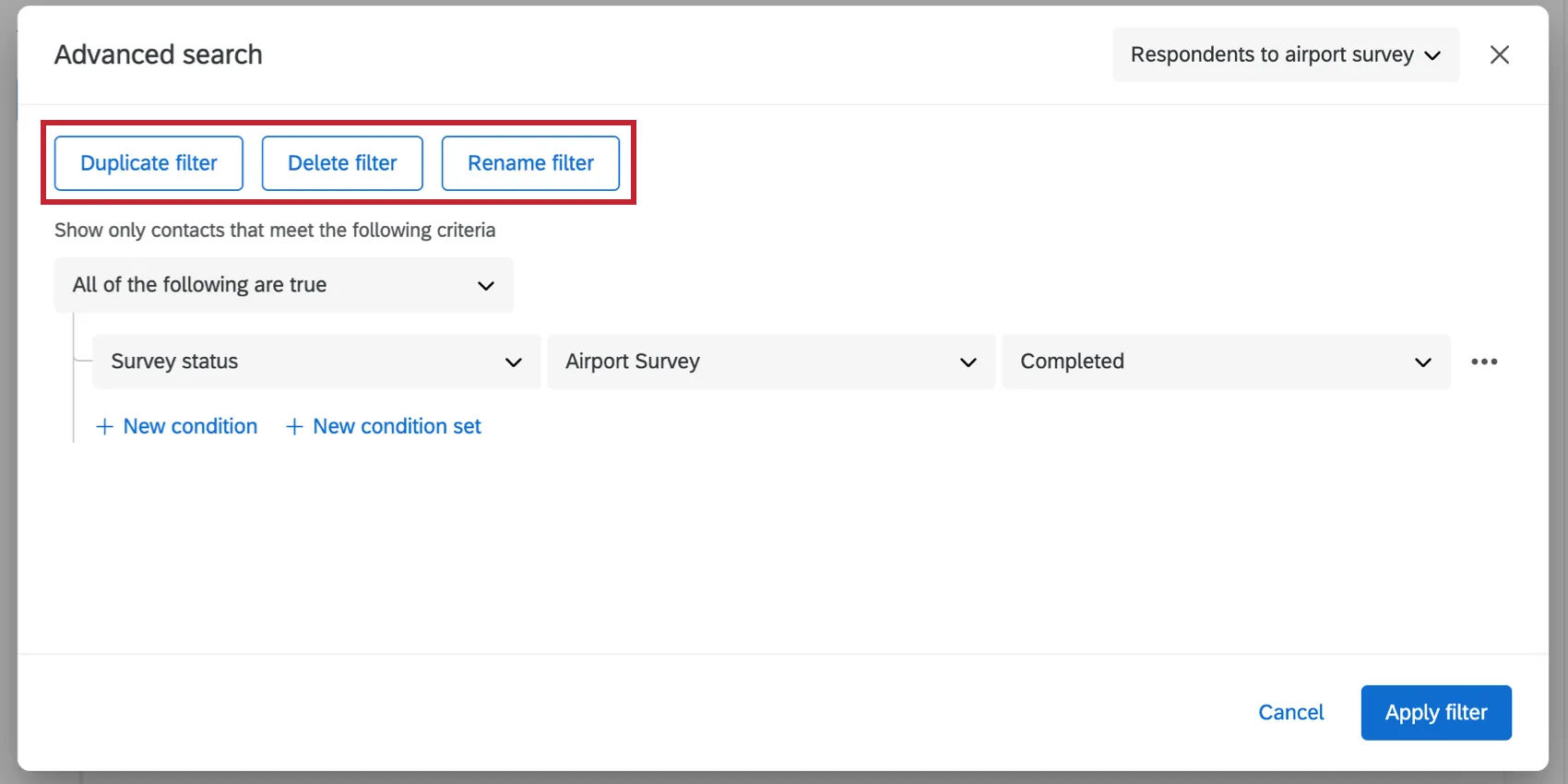 Advanced search window is open with a saved filter applied. In the upper-left, we see buttons that say: Duplicate filter, delete filter, and rename filter