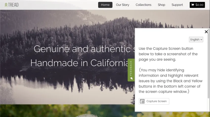 a feedback tab is opened on a website, showing a survey that asks the visitor to take a screenshot, with a button for capturing the screenshot