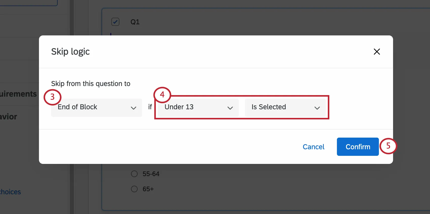 New window opens where the skip logic is set