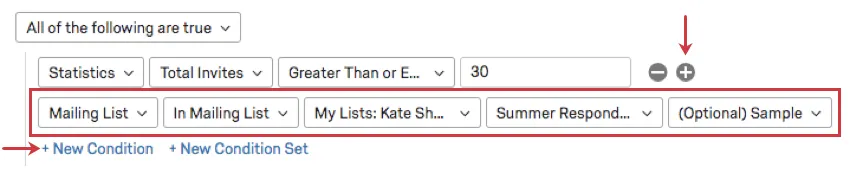 El signo más siguiente a la primera condición y el botón de nueva condición en la parte inferior del filtro están resaltados para indicar que crearon la segunda condición.
