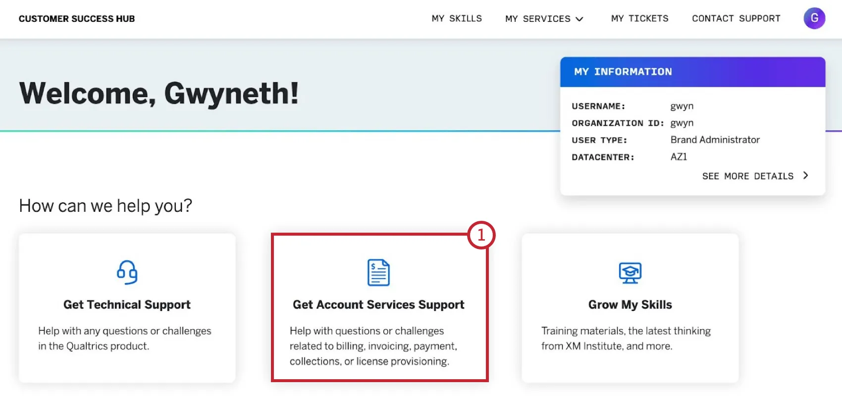 "get account services support" tile within customer hub