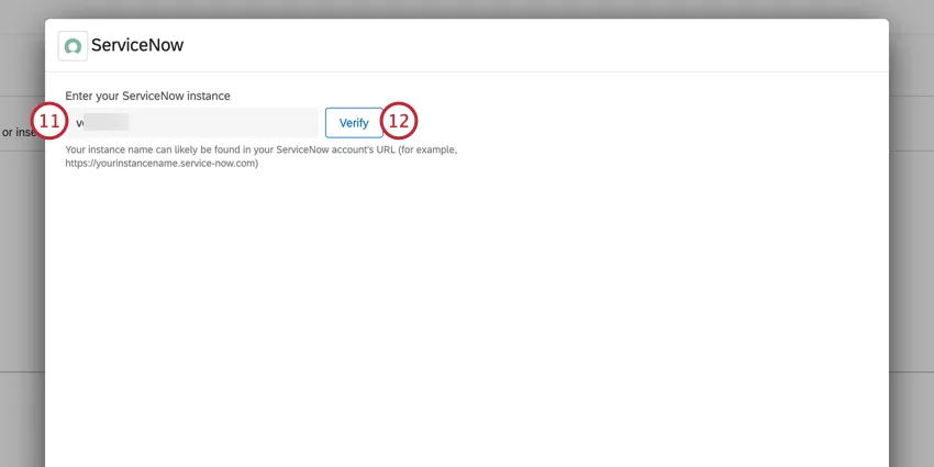entering the servicenow instance