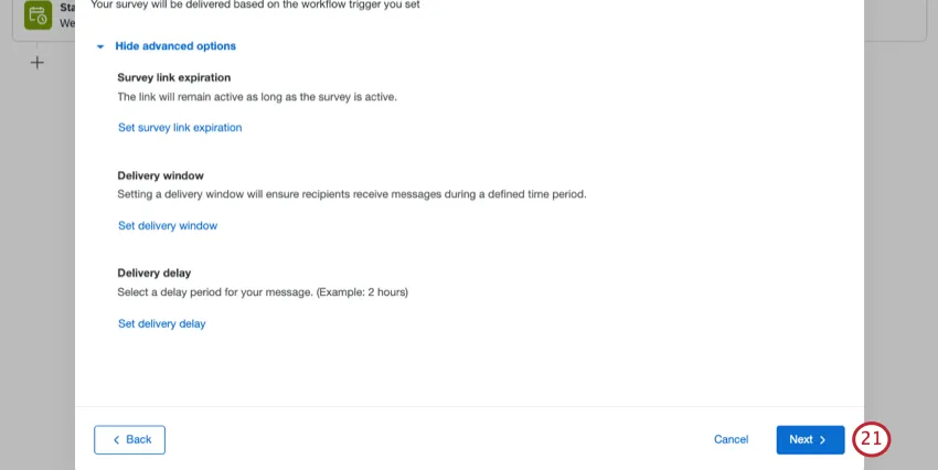 Window showing survey link expiration, delivery window, and delivery delay settings has a next button in the bottom-right