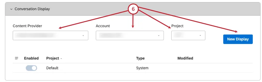 fields in conversational display section