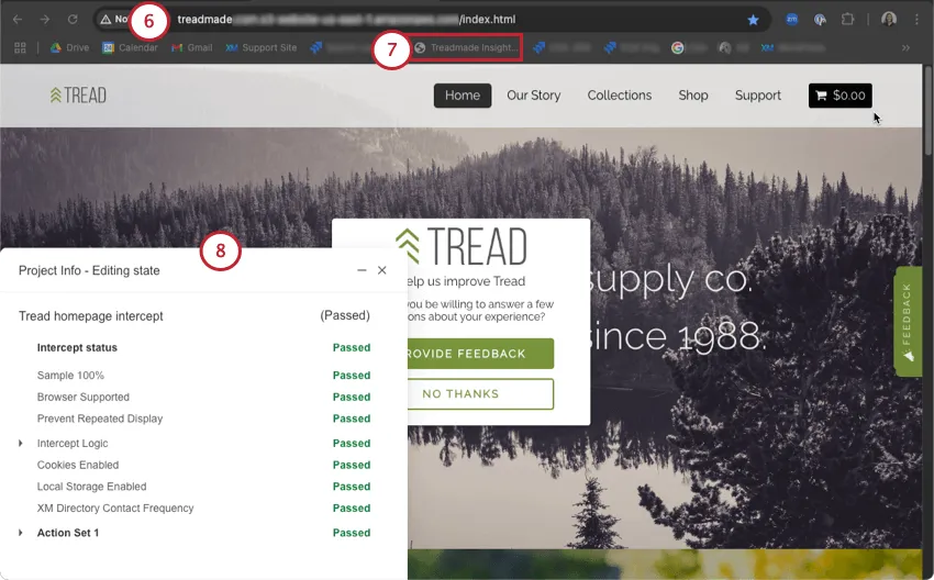 Cómo aparecen las pruebas en su sitio web en su navegador