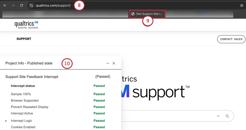 wie Tests auf Ihrer Website erscheinen