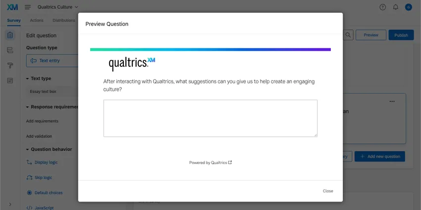 The preview window of the essay text box question