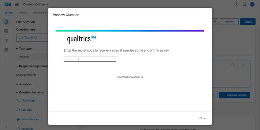 Preview of the Password question