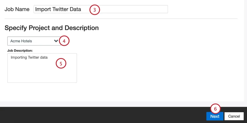 naming the job, choosing a project, and entering a description