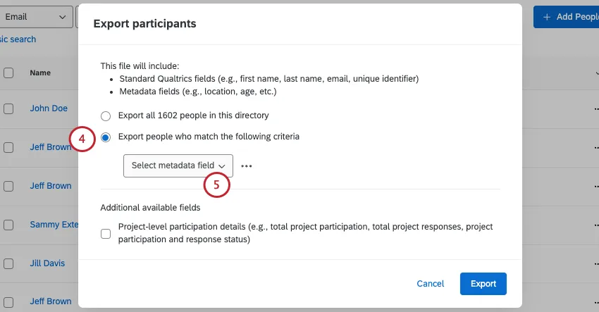 modal where you decide what to export