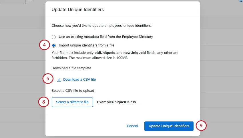 the update unique identifiers screen. the import file option is selected