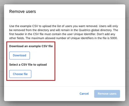 Example CSV file in the window