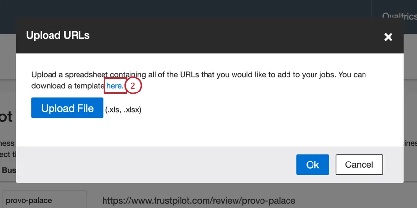 clicking the hyperlinked text to download the template file