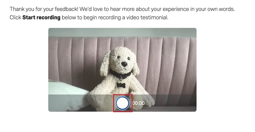 clicking the white record button