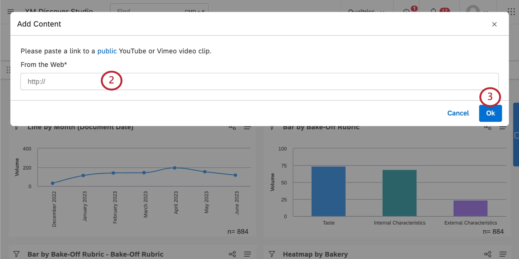 New window where you add a video URL