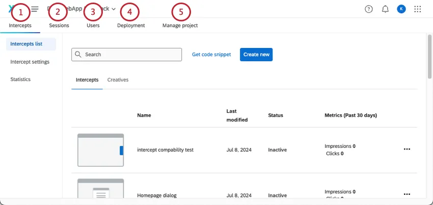 tabs of a website insights project numbered and matched to a description of purpose