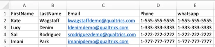 File with contacts. Shows corresponding phone and whatsapp fields