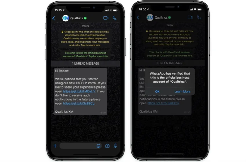 Téléphone avec whatsapp ouvert. Affiche les informations didentification dun compte professionnel officiel whatsapp, qui vérifie la validité dun expéditeur en tant quentreprise existante