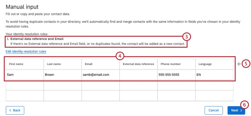 manual input screen with existing deduplication conditions displayed